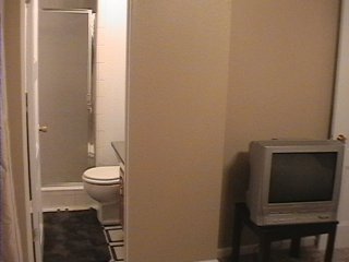 H1 Master Bathroom